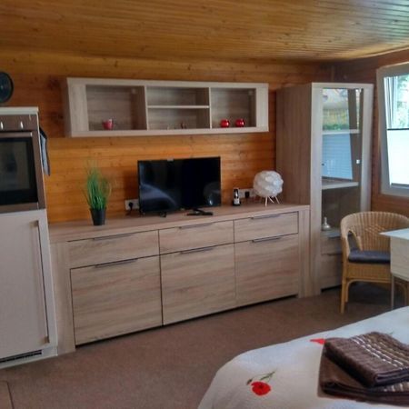 הוילה Harztor Poolhaus Im Suedharz מראה חיצוני תמונה