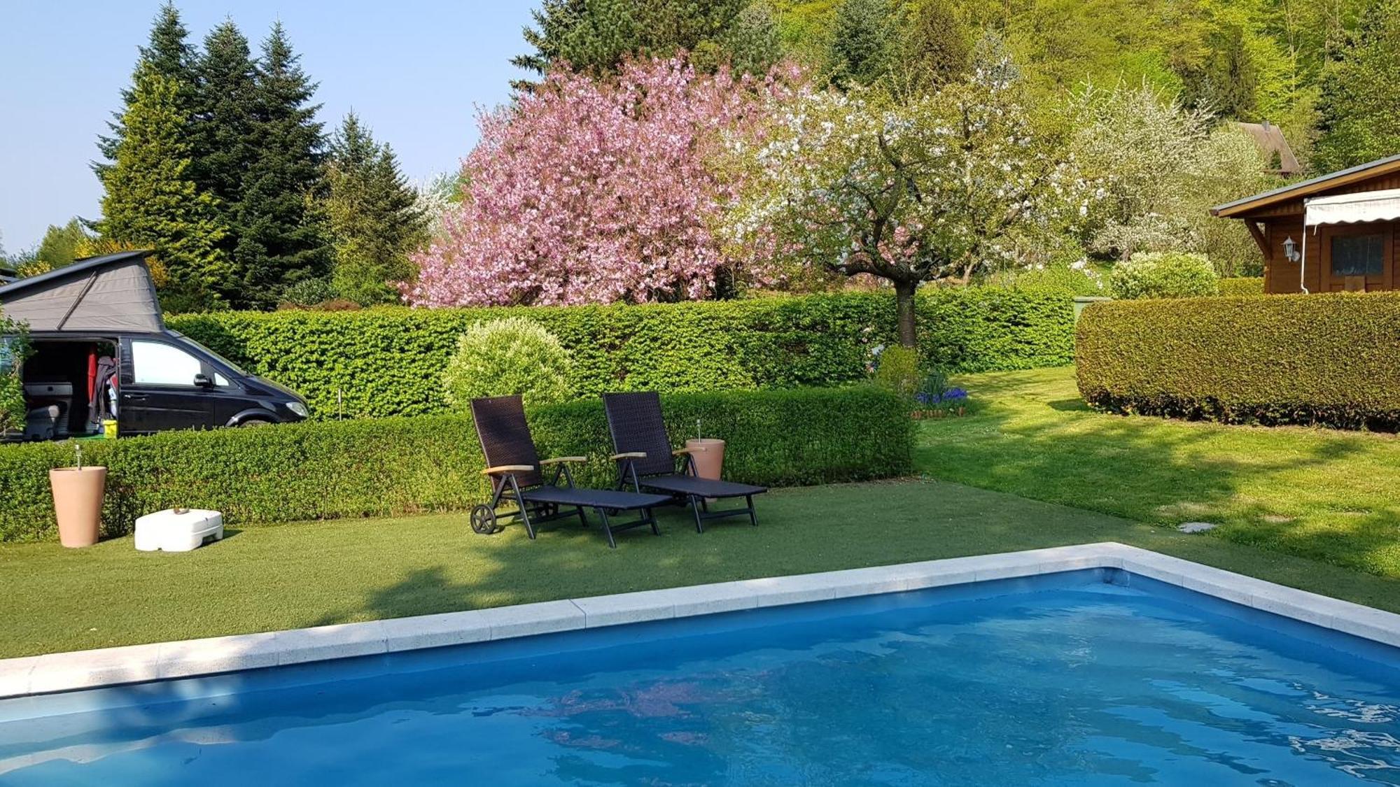 הוילה Harztor Poolhaus Im Suedharz מראה חיצוני תמונה