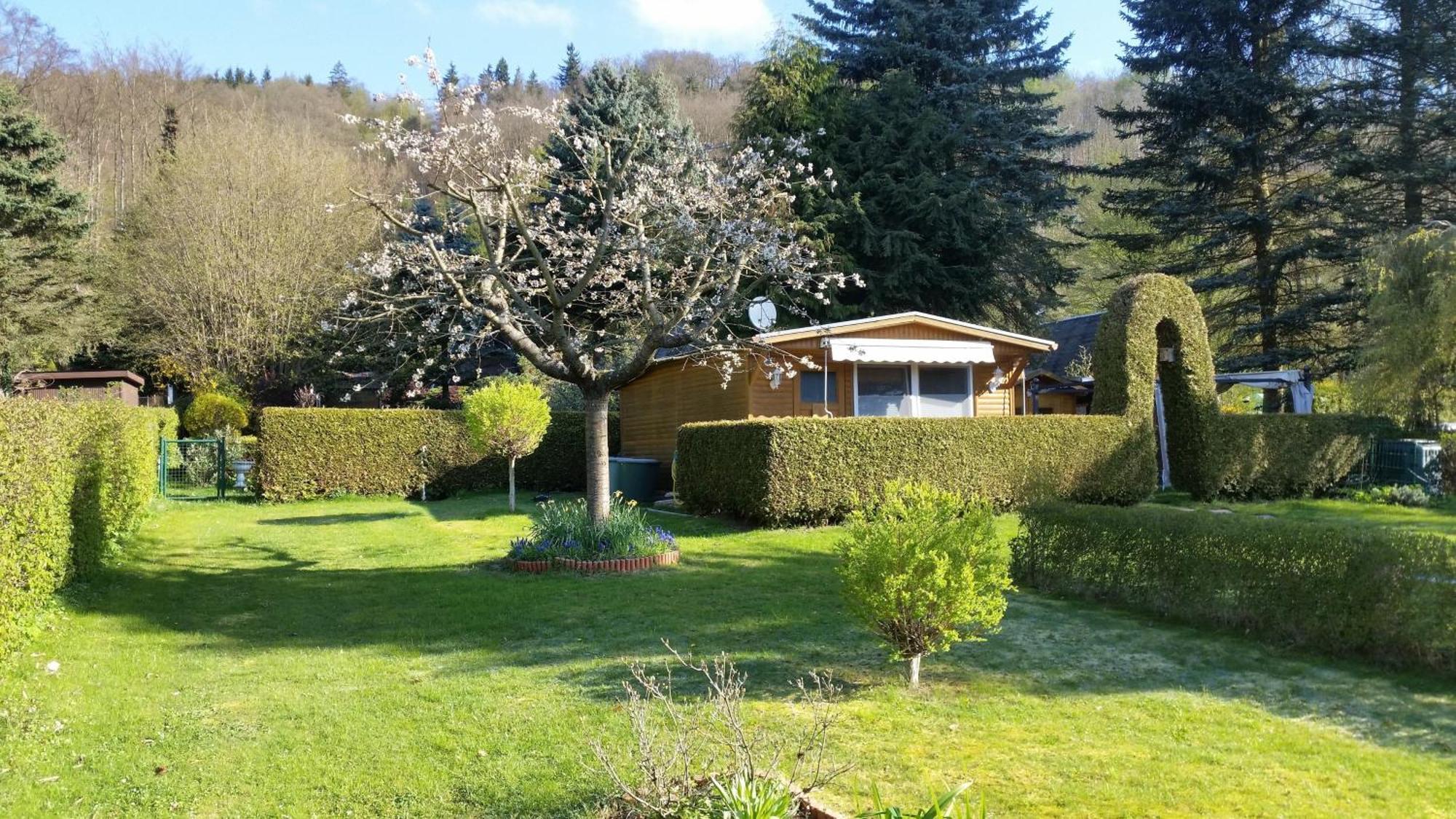 הוילה Harztor Poolhaus Im Suedharz מראה חיצוני תמונה